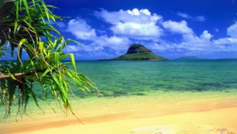 Equico launches tropical reseller incentive