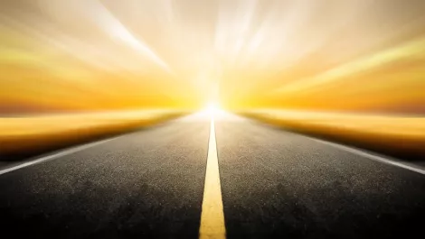 Another one bites the dust: This week's Kiwi channel wrap-up