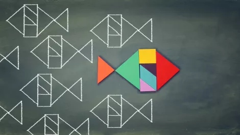 NSP poised for stronger presence in Kiwi market after two new appointments