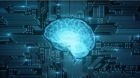 Tech execs, academics coming together to shape AI in NZ
