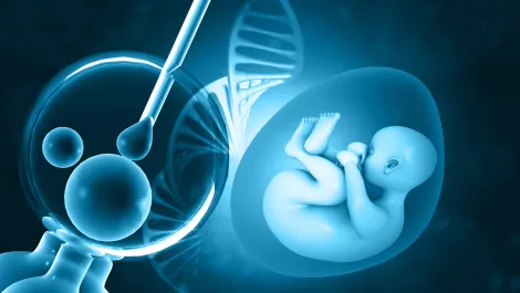 Gettyimages 1253602215