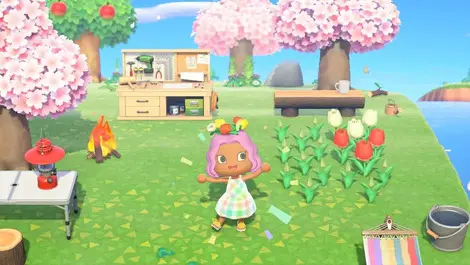 Game review: Animal Crossing: New Horizons Switch 2 Version